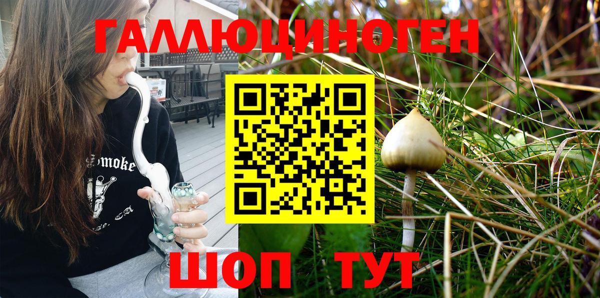 Галлюциногенные грибы MAGIC MUSHROOMS Карпинск